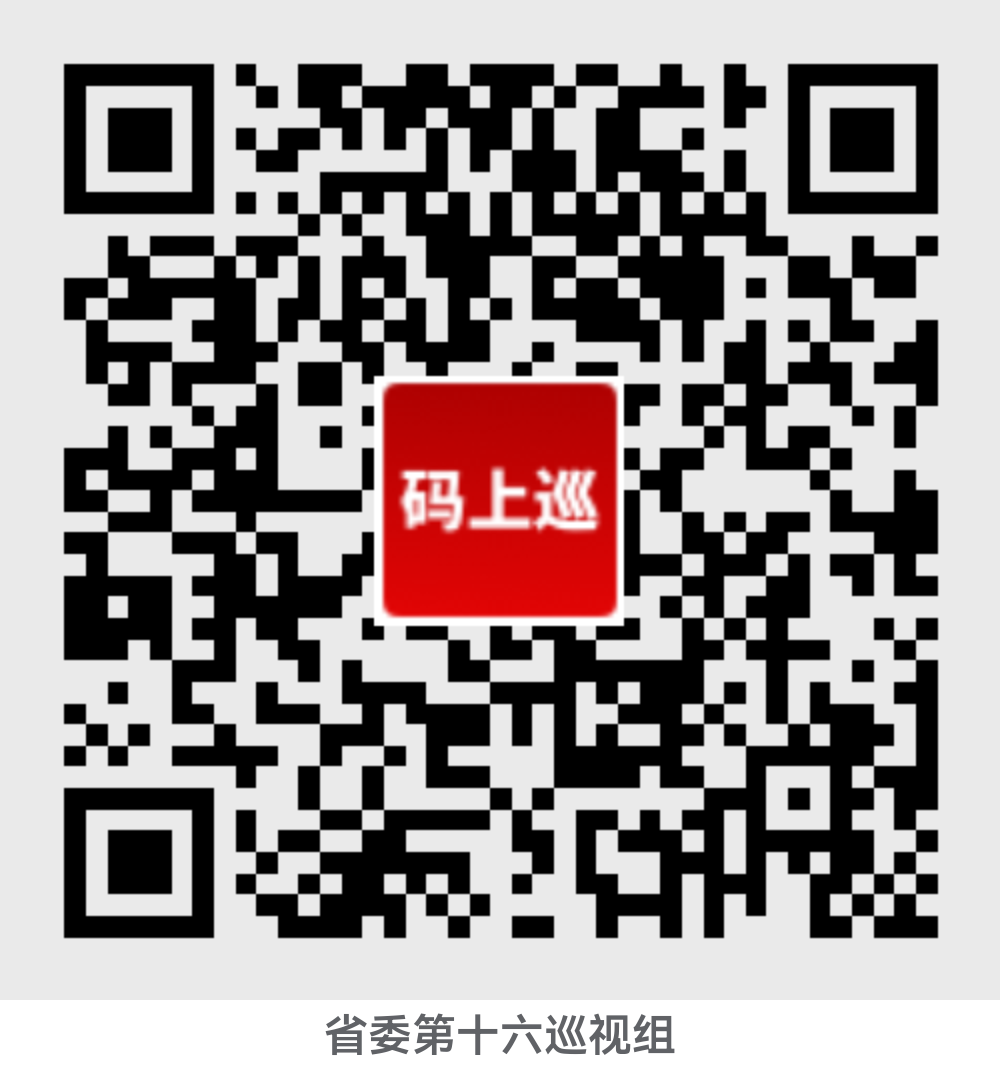 巡视通告 巡视通告